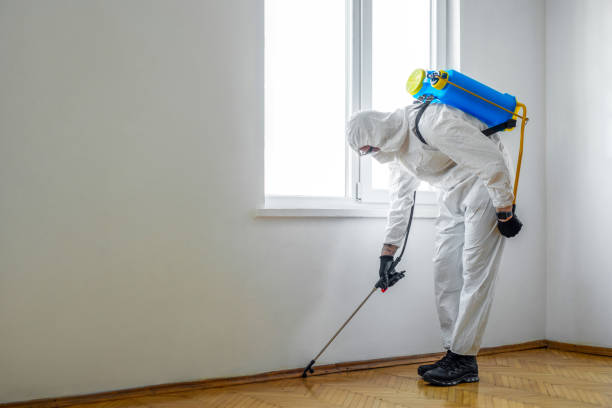 Best Affordable Pest Control Services  in New Concord, OH