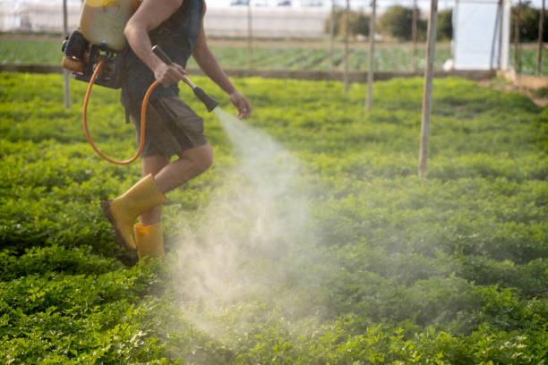 Best Mosquito Control Services  in New Concord, OH