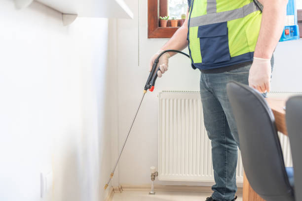 Best Flea Control Services  in New Concord, OH