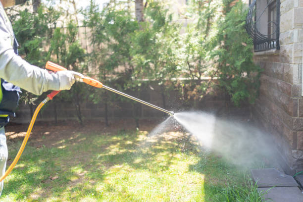 Best Pest Removal Services  in New Concord, OH