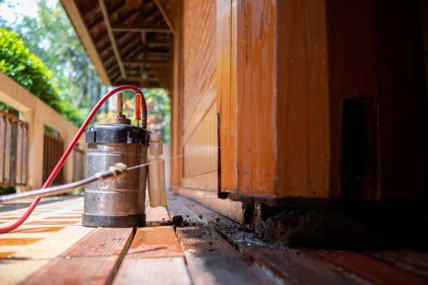 Best Affordable Pest Control Services  in New Concord, OH